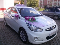 Hyundai Solaris (Белый)